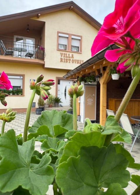 Villa Ristovski Vacation rental in Ohrid