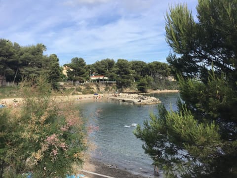 Natural landscape, Beach