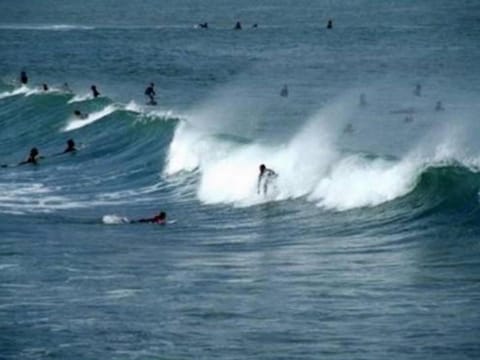 Natural landscape, Activities, Beach