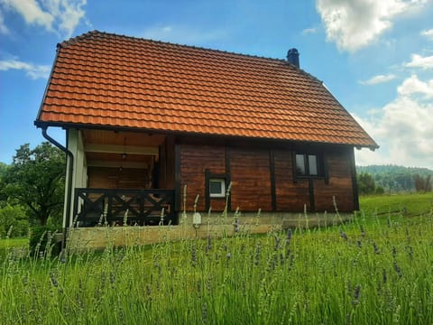 Planinska kuca Olga-Tara House in Zlatibor District, Serbia