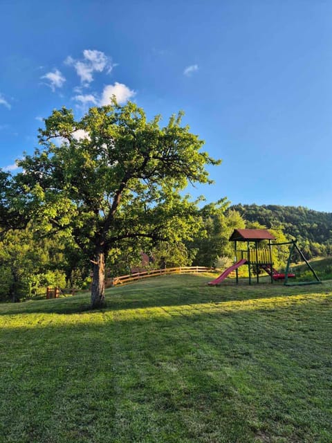 Planinska kuca Olga-Tara House in Zlatibor District, Serbia