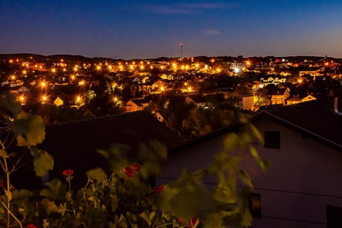 Sakota family house Apartment in Novi Sad