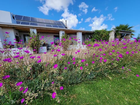 Garden, Garden view