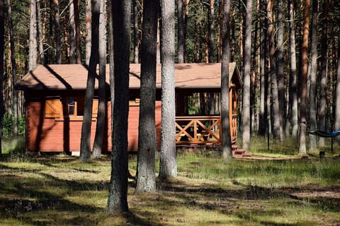 Property building, Garden, Garden view