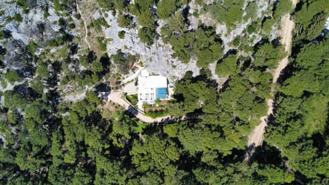 Spring, Day, Natural landscape, Bird's eye view