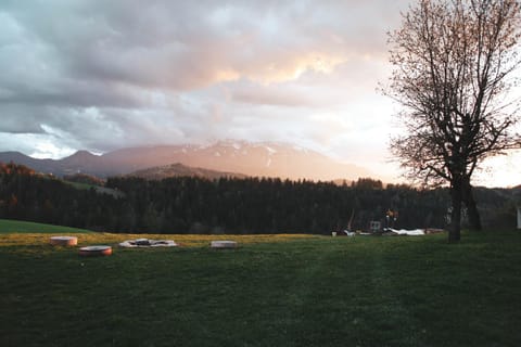 Mountain view