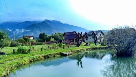 Natural landscape, Lake view