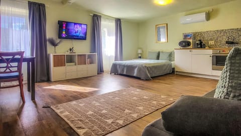 Bed, TV and multimedia, Kitchen or kitchenette, Photo of the whole room, oven, air conditioner