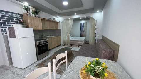 Bed, Kitchen or kitchenette, Photo of the whole room, Seating area, Dining area, Bedroom, oven