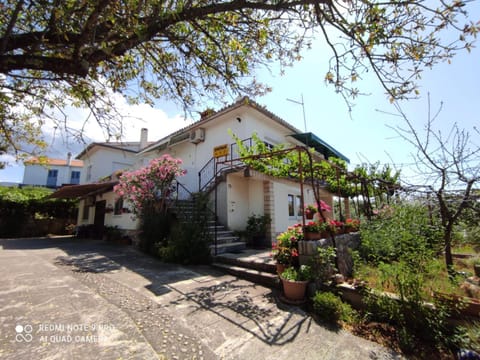 Property building, Facade/entrance, Garden