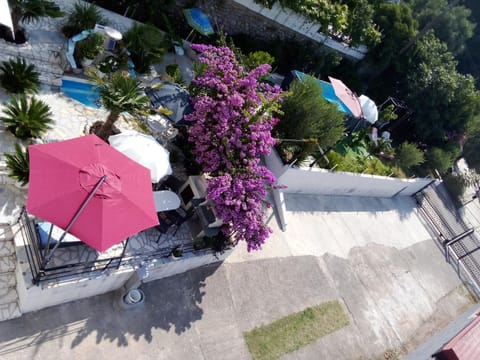 Bird's eye view, Garden