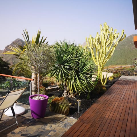 Garden view