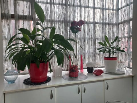 Donji Grad Apartment in Belgrade