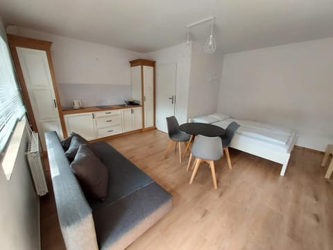 Gryf-Balt - Pokój z aneksem kuchennym Apartment in West Pomeranian Voivodeship, Poland