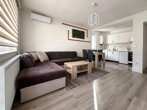 Kitchen or kitchenette, Living room, Seating area, Dining area, oven, stove, air conditioner