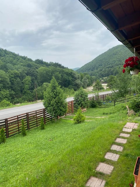 Garden, Mountain view