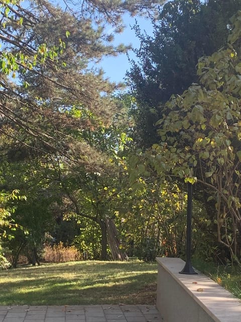 Spring, Day, Natural landscape, Garden, Garden view