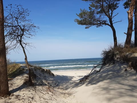 Natural landscape, Beach, Hiking, Sea view