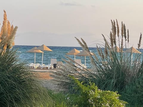 Natural landscape, Beach, Sea view, sunbed