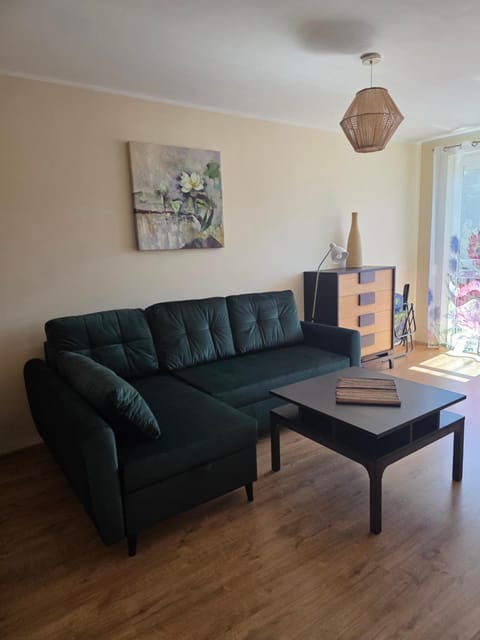 Apartament Na Wydmie Apartment in Pomeranian Voivodeship
