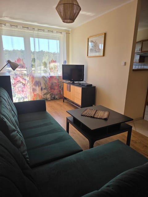 Apartament Na Wydmie Apartment in Pomeranian Voivodeship