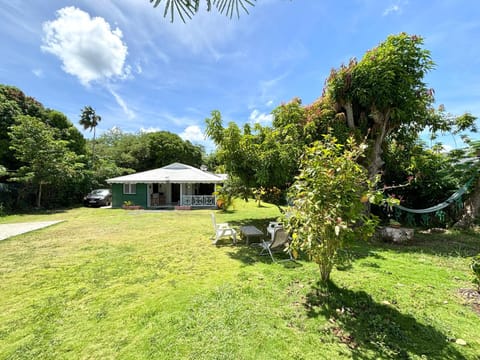 Property building, Garden, Garden view