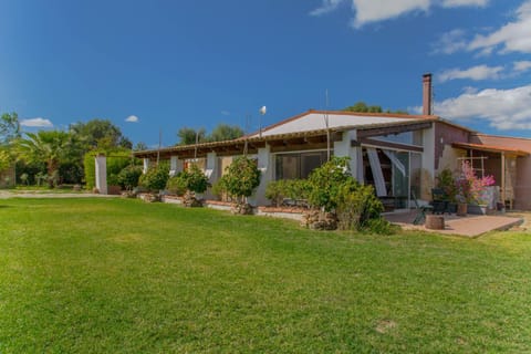 Spring, Natural landscape, Garden, Garden view