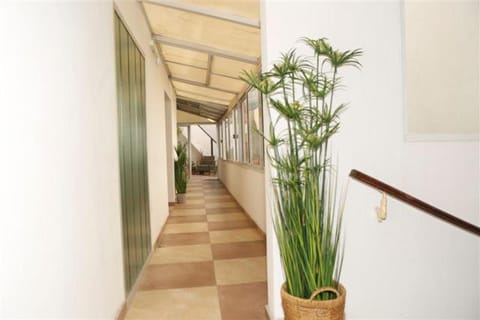 Patio, Patio