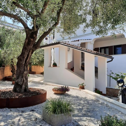 Property building, Garden, Garden