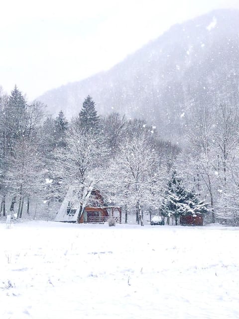 Natural landscape, Winter, Hiking