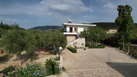 Property building, Patio, Garden view