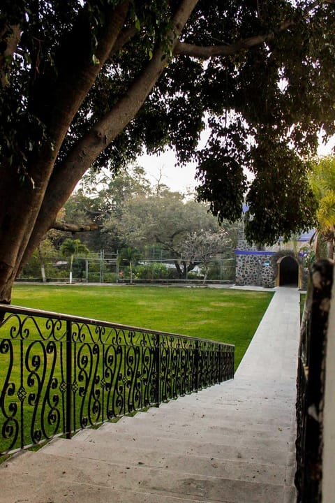 Spring, Day, Natural landscape, Garden, Garden view