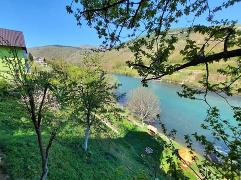 Apartmani Vila na Drini Bed and Breakfast in Montenegro