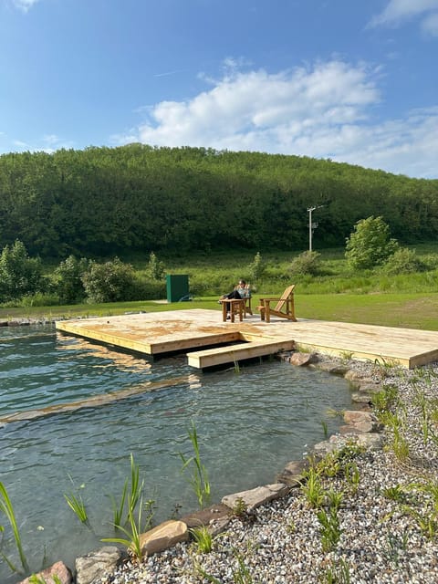 Bryntowy House in Ferryside