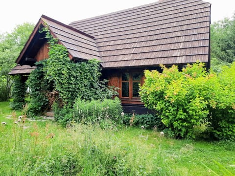 Property building, Natural landscape, Garden