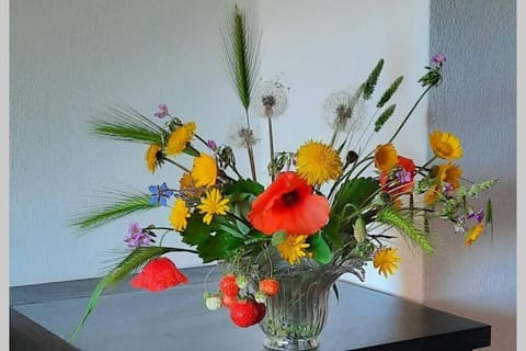 LA FINESTRA SUL GOLFO - CITRA 010018-LT-0033 - House in Lavagna