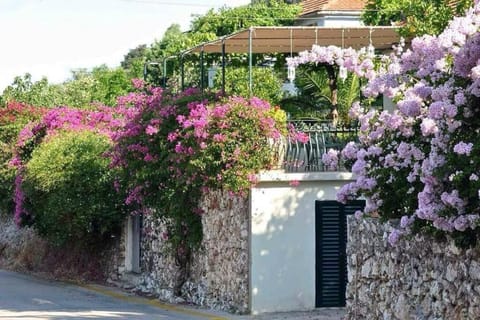 Balcony/Terrace, Garden view