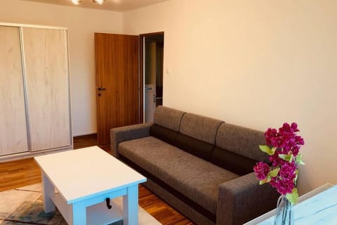 Joy City Stay Iasi 15 Apartment in Timisoara