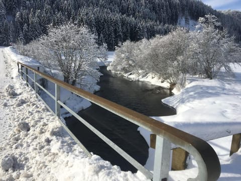 Natural landscape, Winter