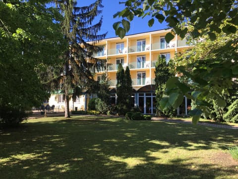 Property building, Day, Garden