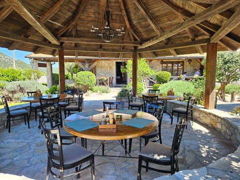 Apartmani Drijen Apartment in Dubrovnik-Neretva County