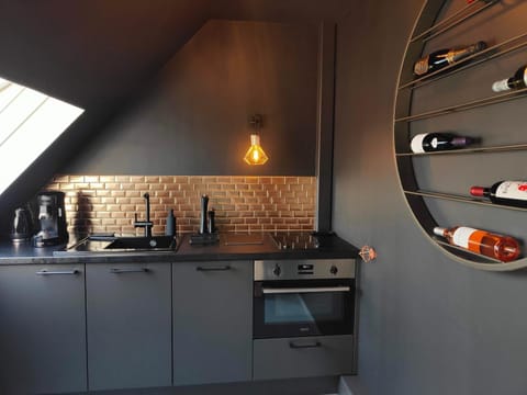 Kitchen or kitchenette, minibar, pet friendly, stove