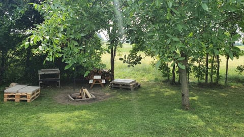 BBQ facilities, Garden