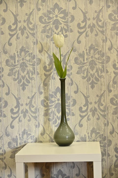 LA SUITE HOME - Central Apartment Deluxe Apartment in Civitavecchia