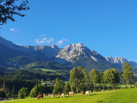 Day, Natural landscape, Mountain view