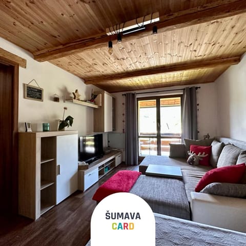 Bed, TV and multimedia, Living room, Photo of the whole room