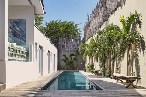 Garden, Swimming pool, Swimming pool