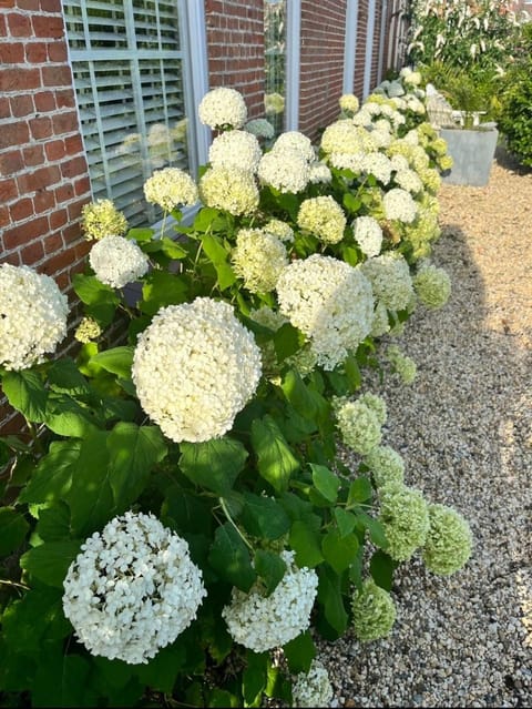 Maison Blakenburg Apartment in Kamperland