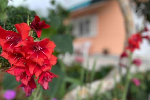 Manuel Apartment in Korčula