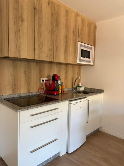 Kitchen or kitchenette, microwave, stove